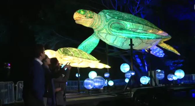 Фестивал на светлините в Сидни (видео)
