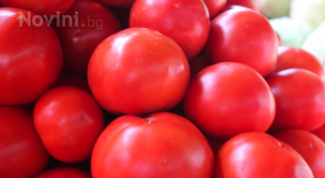 Полски домати сеят зарази по хора и зеленчуци