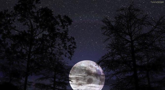 Астролог: Гладуването в понеделник очиства вашата вътрешна Луна