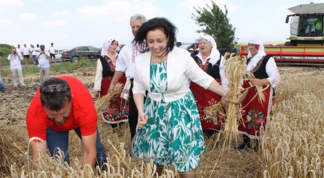 Танева: Има увеличение на площите със зърнено-житни култури