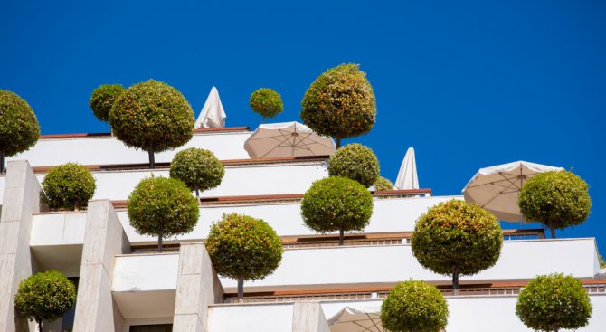 11 невероятни градски градини, намиращи се на покриви