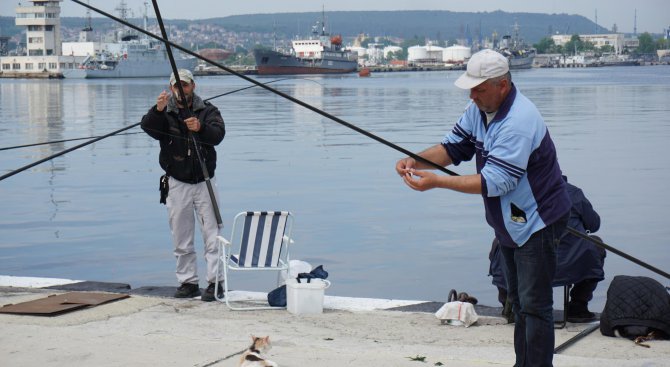 Рибата в Черно море – все по-малко
