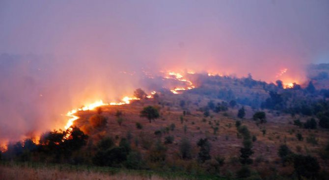 Десетки хиляди декари обхвана новият пожар в община Харманли, спасиха семейство