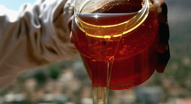 БАБХ откри фалшив мед на пазара у нас