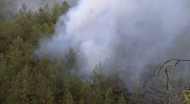 Пожарът край Тополовград продължава да се разраства, горят над 10 000 декара