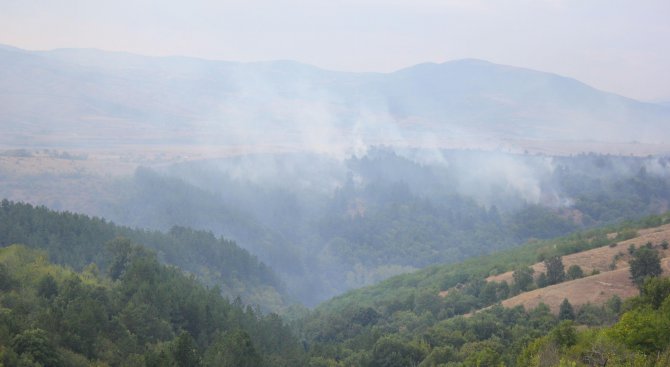 Пожарът край Тополовград е най-големият горски пожар от началото на годината