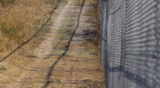 Австрия постави основите на ограда по границата с Унгария