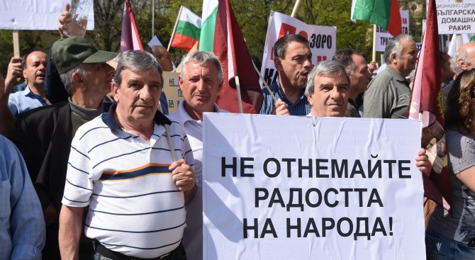 Домашната ракия поскъпва