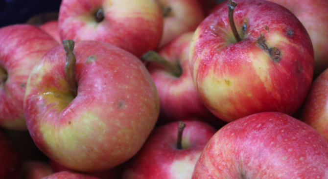 Една ябълка на ден предпазва от пет вида рак