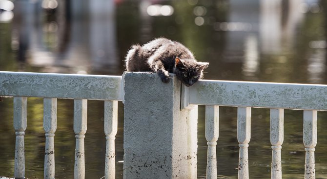 Румъния е под вода, безсънна нощ в Галац заради потопа