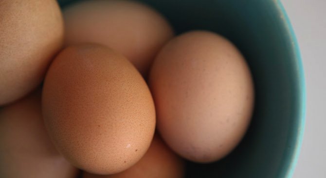 БАБХ потвърди, че са изтеглени всички яйца със салмонела