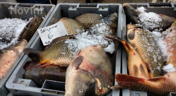Търговците на риба отчетоха по-слабо търсене (видео+снимки)