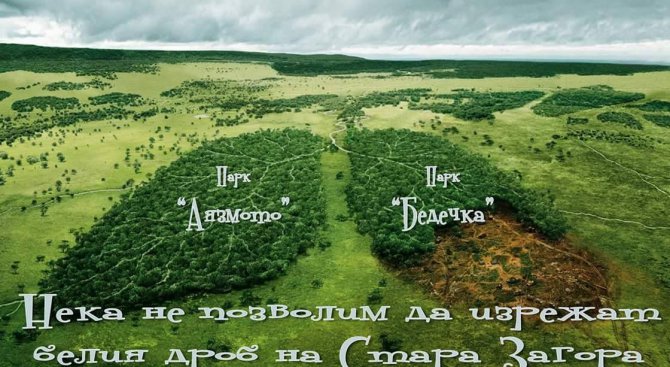 РБ иска 3-годишен мораториум върху строителството в парк „Бедечка”