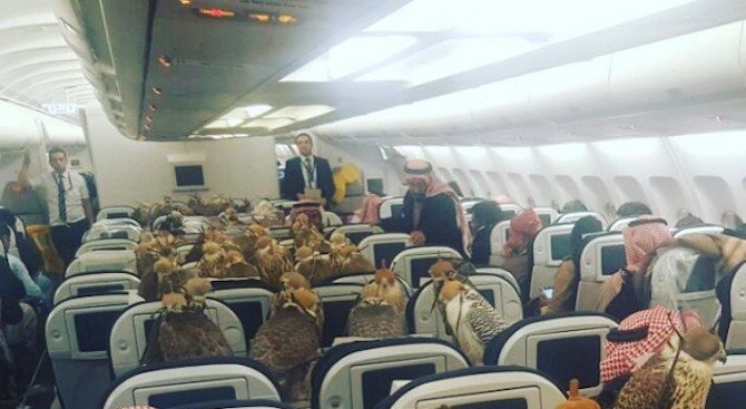 Саудитски принц превози 80 сокола в първа класа