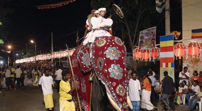 Слонове с цветни костюми участваха в будистко шествие в Шри Ланка (видео)