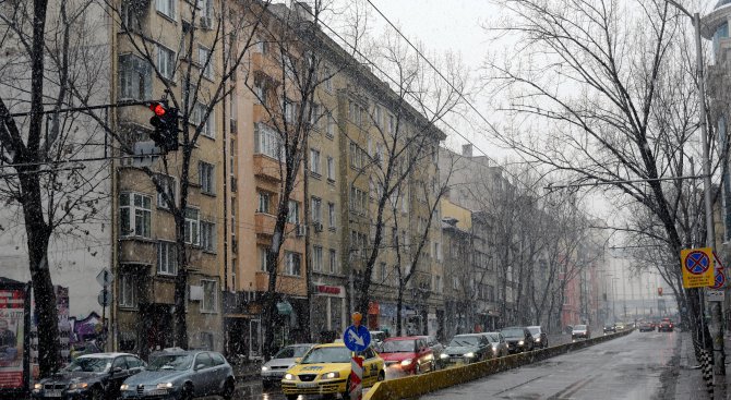 Зимата се завърна със сняг на парцали (снимки)