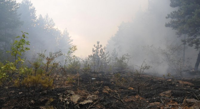 Горски пожар избухна край Копривщица