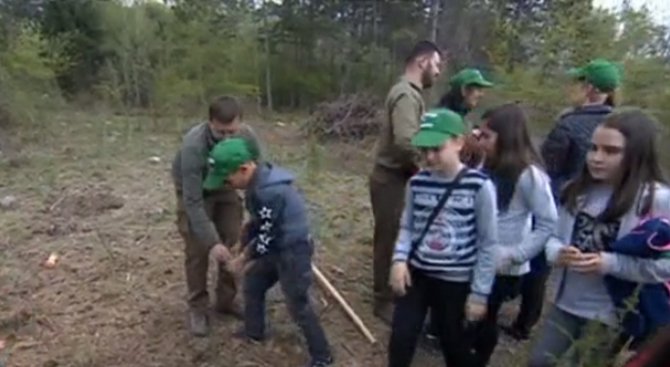Деца засадиха фиданки в Апостоловата гора