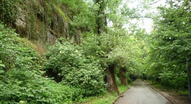 Срутване на скали затвори алеята Баш бунар в Ловеч