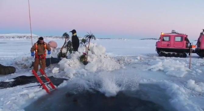 Жители на Антарктида празнуват лятото с къпане в ледената вода (видео)