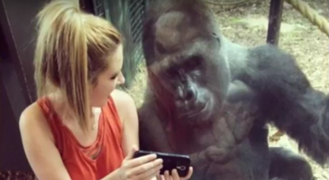 Жена се сприятели с горила в зоопарк
