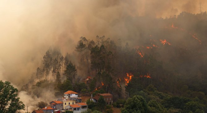 Над 61 600 хектара са унищожили горските пожари в Португалия от началото на годината