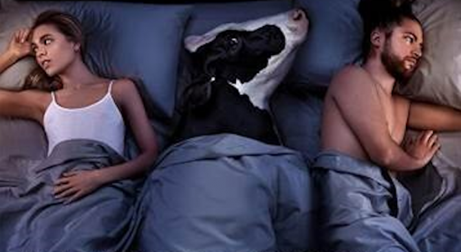 PETA взриви интернет със скандална реклама