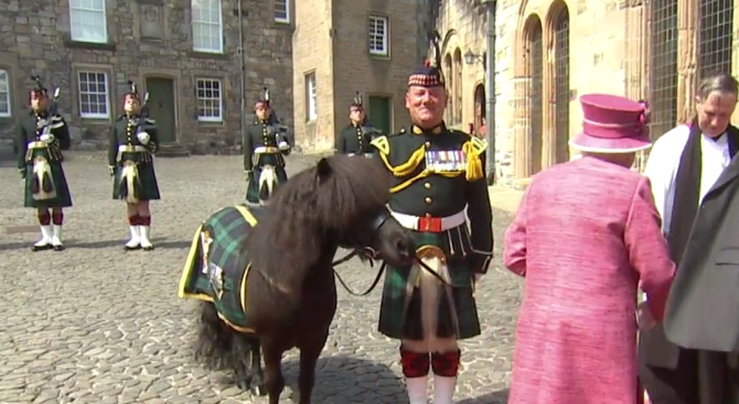 Пони изяде букета на Елизабет II (видео)