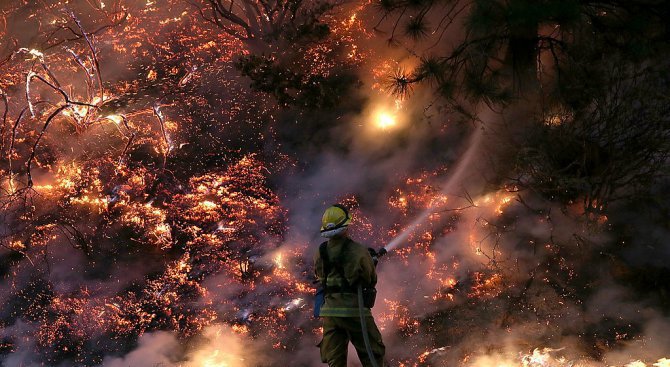 Огън погълна 11 000 дка от горите у нас