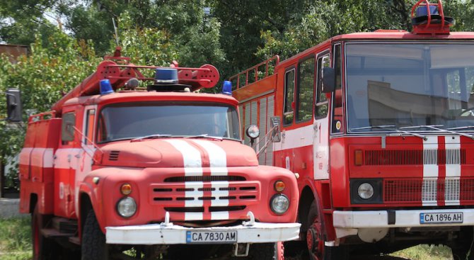 Пожарникари от Хасково свалиха дете от дърво