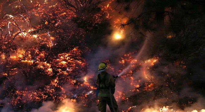 Португалия търси помощ от Европа за потушаване на пожарите в страната