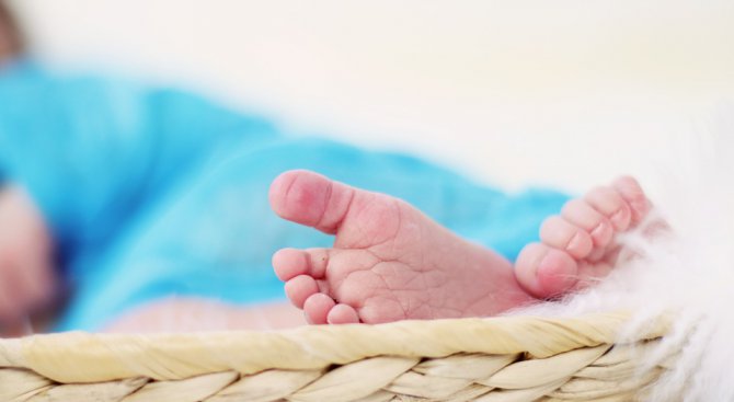 Роди се петото бебе ХАЙФУ в Плевен