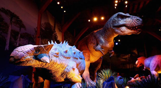 Изложба представя макети на динозаври в реален размер