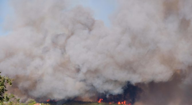 Седем вили и три навеса изгорели при пожара край Хисаря