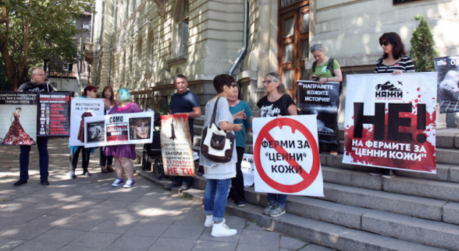Веганите днес няма да протестират, но продължават да искат оставката на земеделския министър (видео)