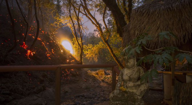 17-годишно момиче стана 43-та жертва на горските пожари в Калифорния