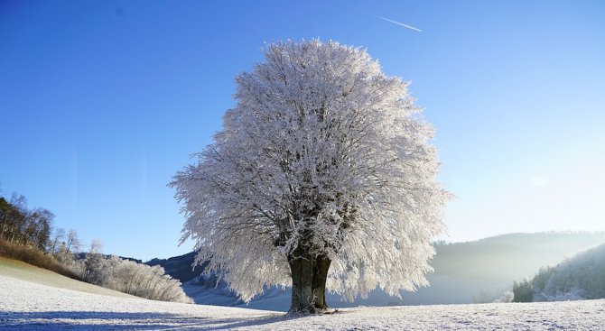 Метеоролог разкри каква зима ни очаква