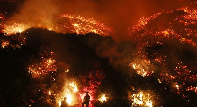 Над 200 000 евакуирани в Калифорния заради големите горски пожари