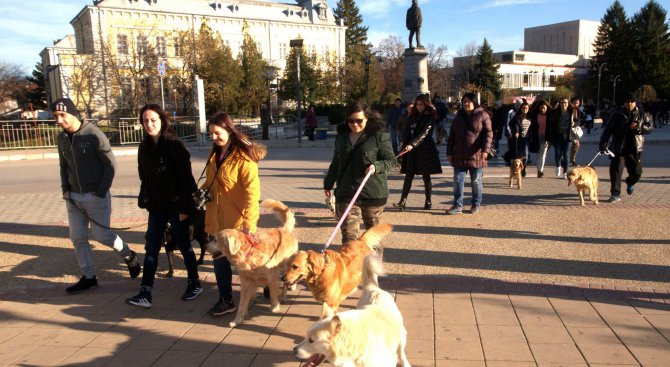 Собственици на кучета протестираха в Силистра (снимки)