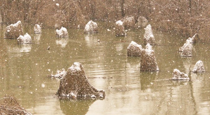 Падналият сняг извая красиви форми по Дунав (снимки)