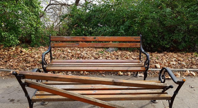 Вандали трошат новите пейки в Морската градина на Варна (снимки)
