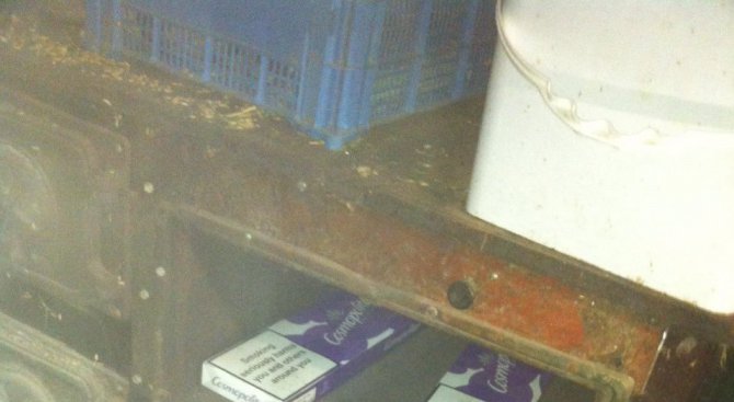Митничари откриха контрабандни цигари в магазин в град Луковит (снимки)