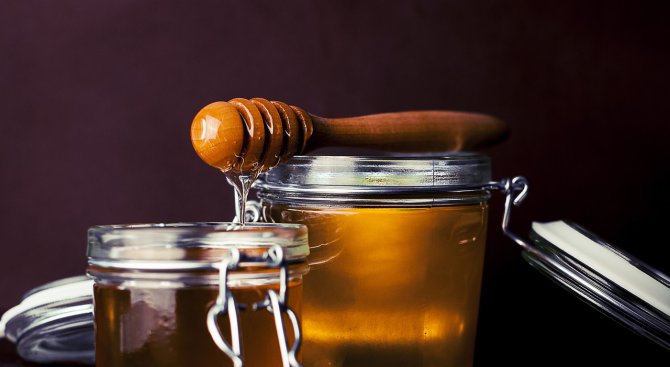 Пчелар: Евтиният мед по магазините не отговаря на реалността (аудио)