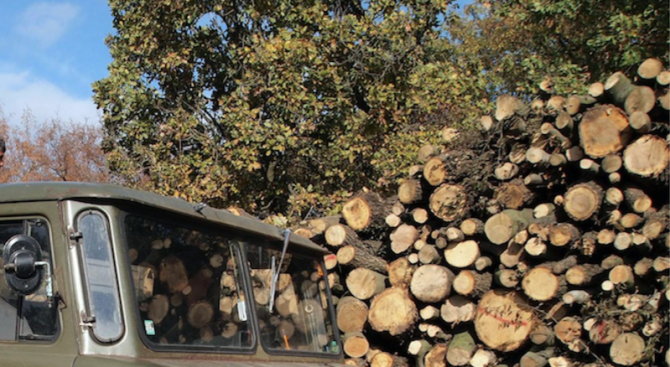 Интензивни проверки за съхранение на незаконна дървесина на територията на Пловдив