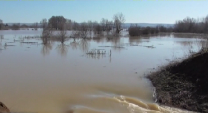 Бедствено положение в Брегово, има опасност от екологична катастрофа (видео)