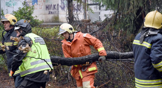 Ураганният вятър във Враца е достигнал над 140 километра в час