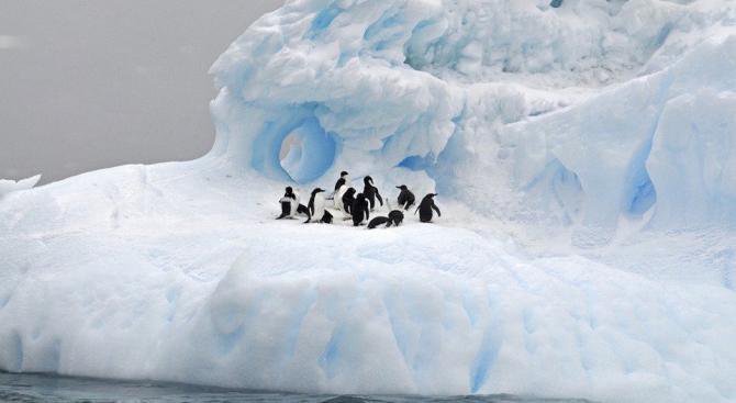 Един от най-големите ледници в Антарктида е на път да се стопи
