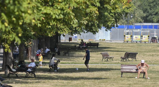 Берковица ще дава безплатно материали на граждани, решили да облагородят кварталите си