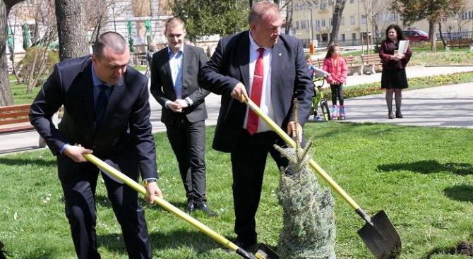 България сред отличниците по съхранени гори в Европа