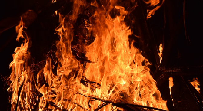 В горските територии в Добричка област е обявен пожароопасен сезон